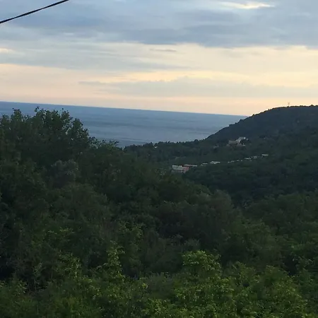 Zancovici * Podgorica
